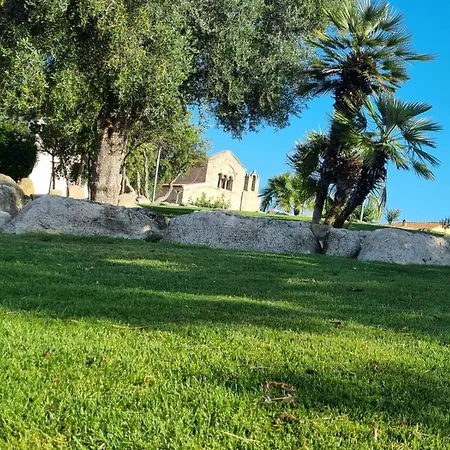 Dada Olbia